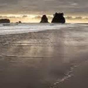 Meet your Posher, Trish